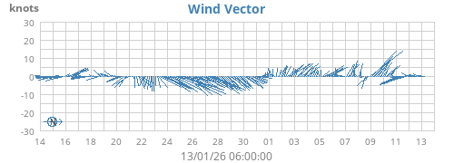 Wind Vector